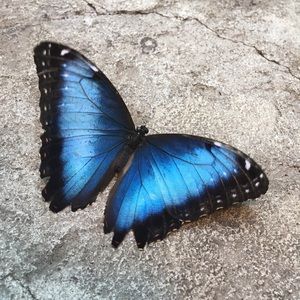 Meet your Posher, Camille